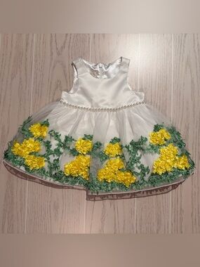 American Princess Ivory Tulle Dress Baby Girl 9M Floral Pearl Party